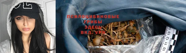 стафф Абдулино