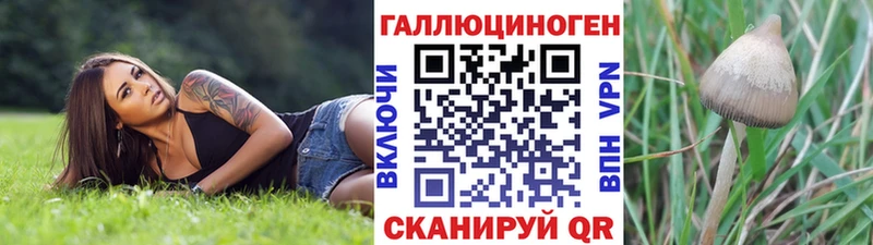 Галлюциногенные грибы Magic Shrooms  Череповец 